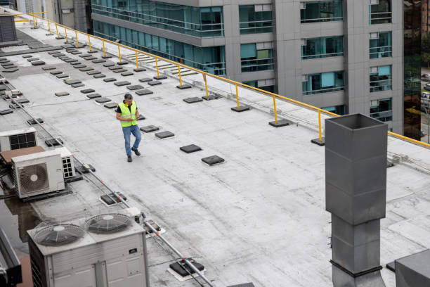 Best Storm Damage Roof Repair  in Baxter, TN